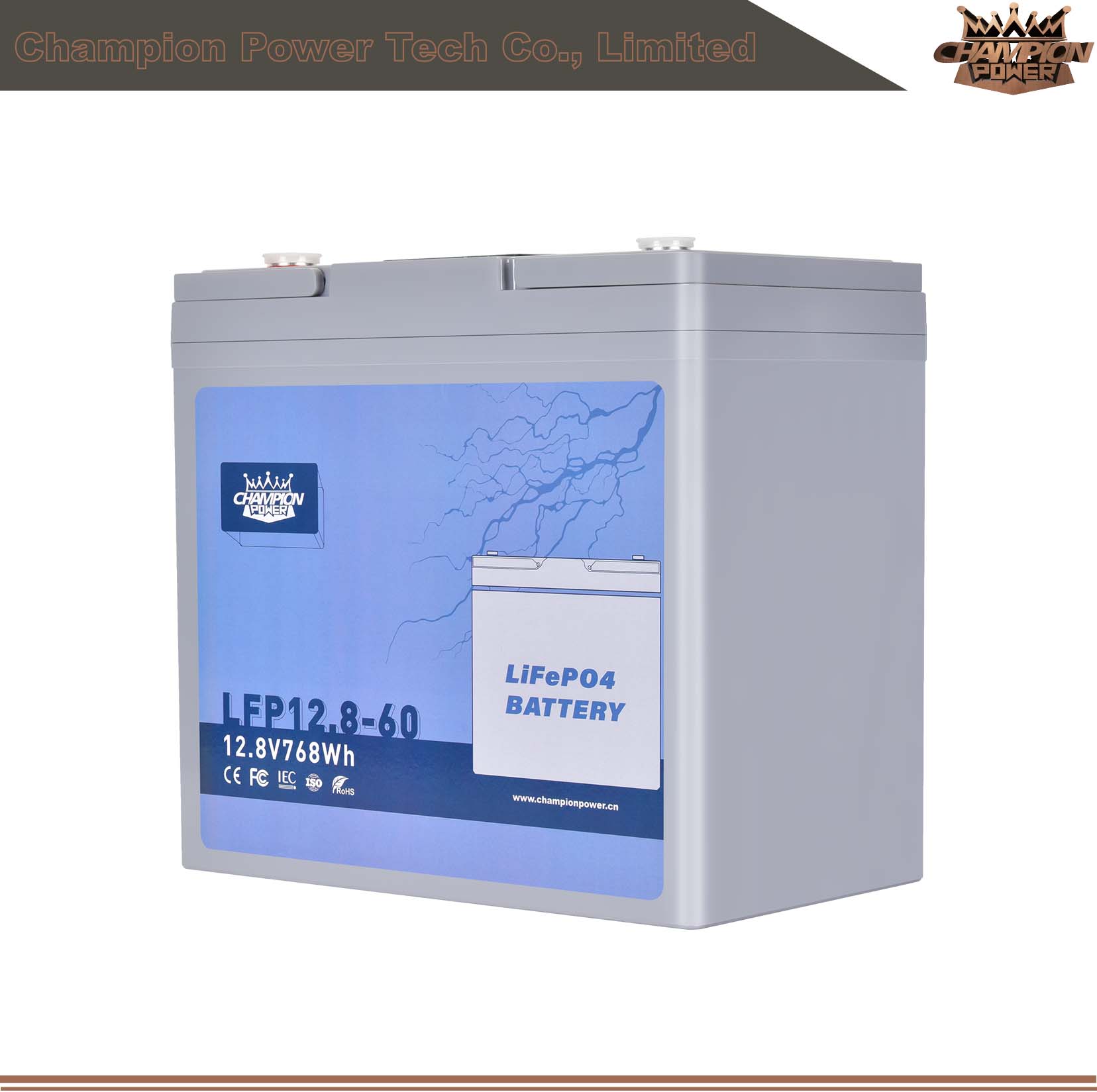 LFP12.8-60 12V60Ah LiFePO4 Battery
