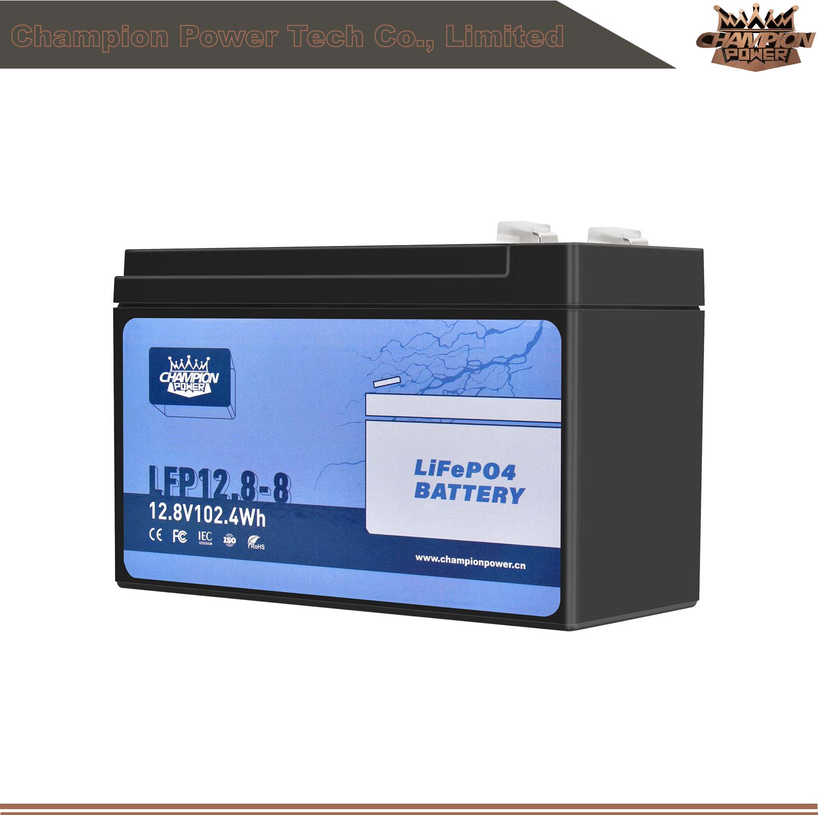 LFP12.8-8 12V8Ah LiFePO4 Battery