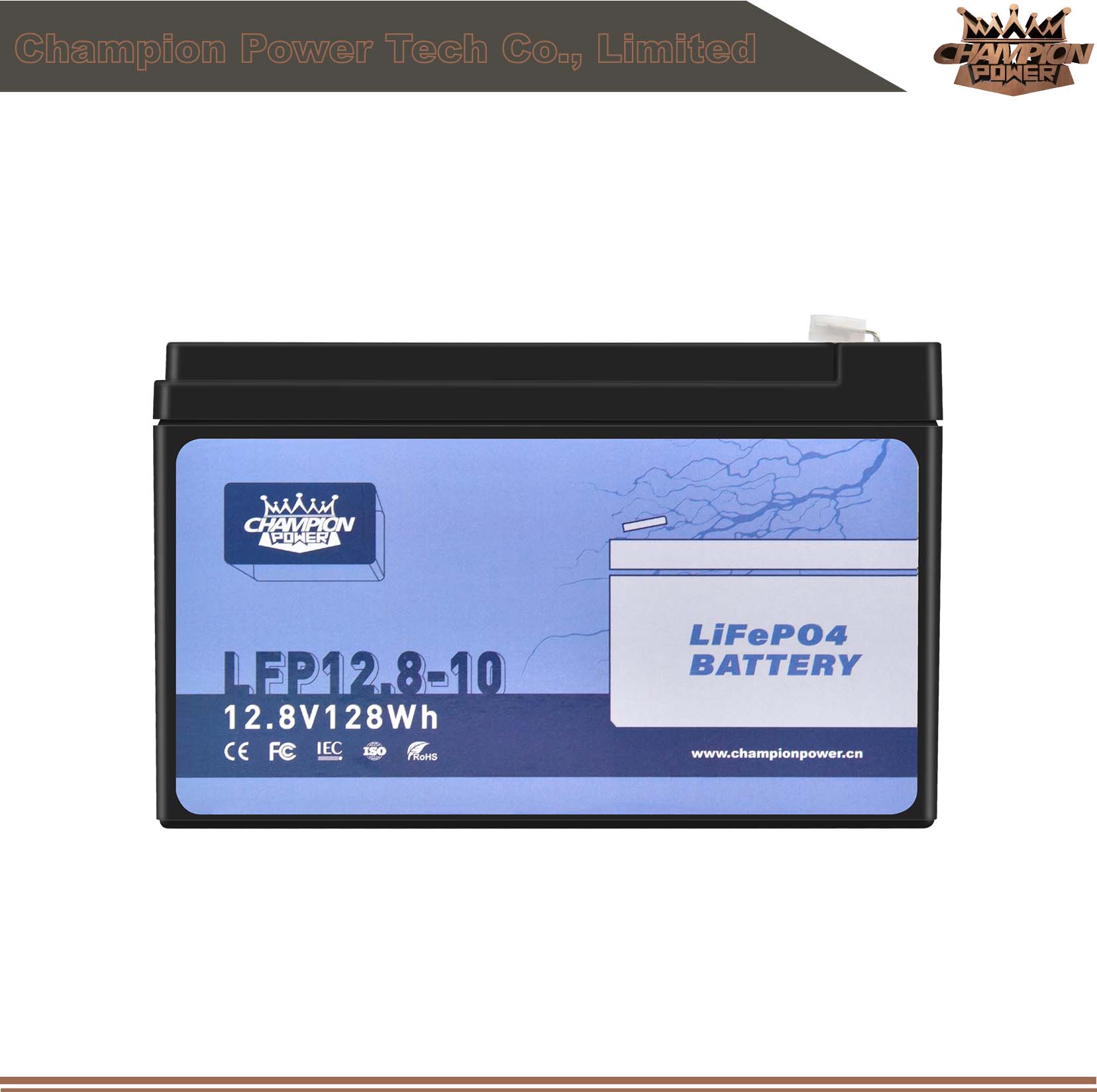 LFP12.8-10 12V10Ah LiFePO4 Battery