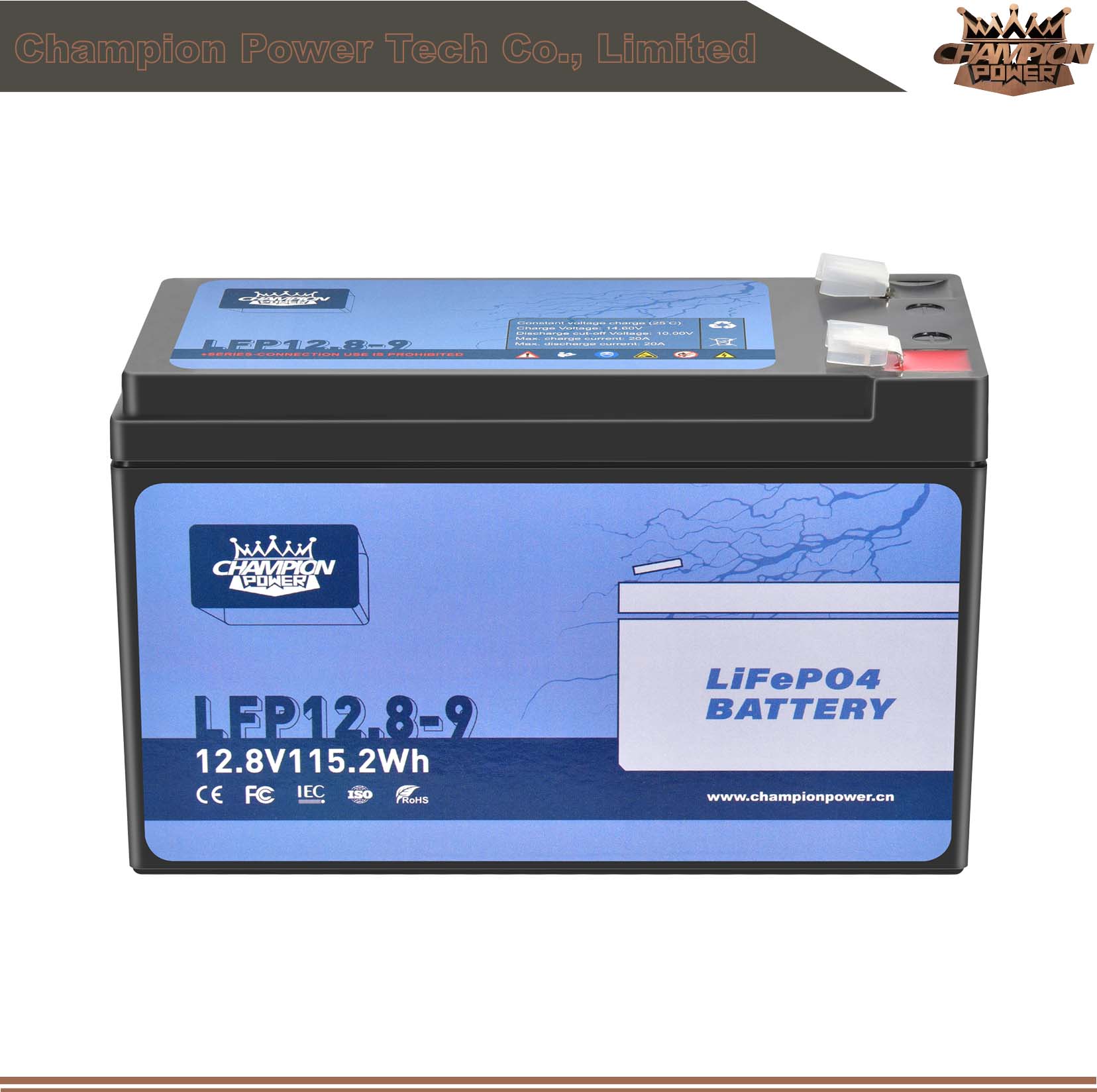 LFP12.8-9 12V9Ah LiFePO4 Battery