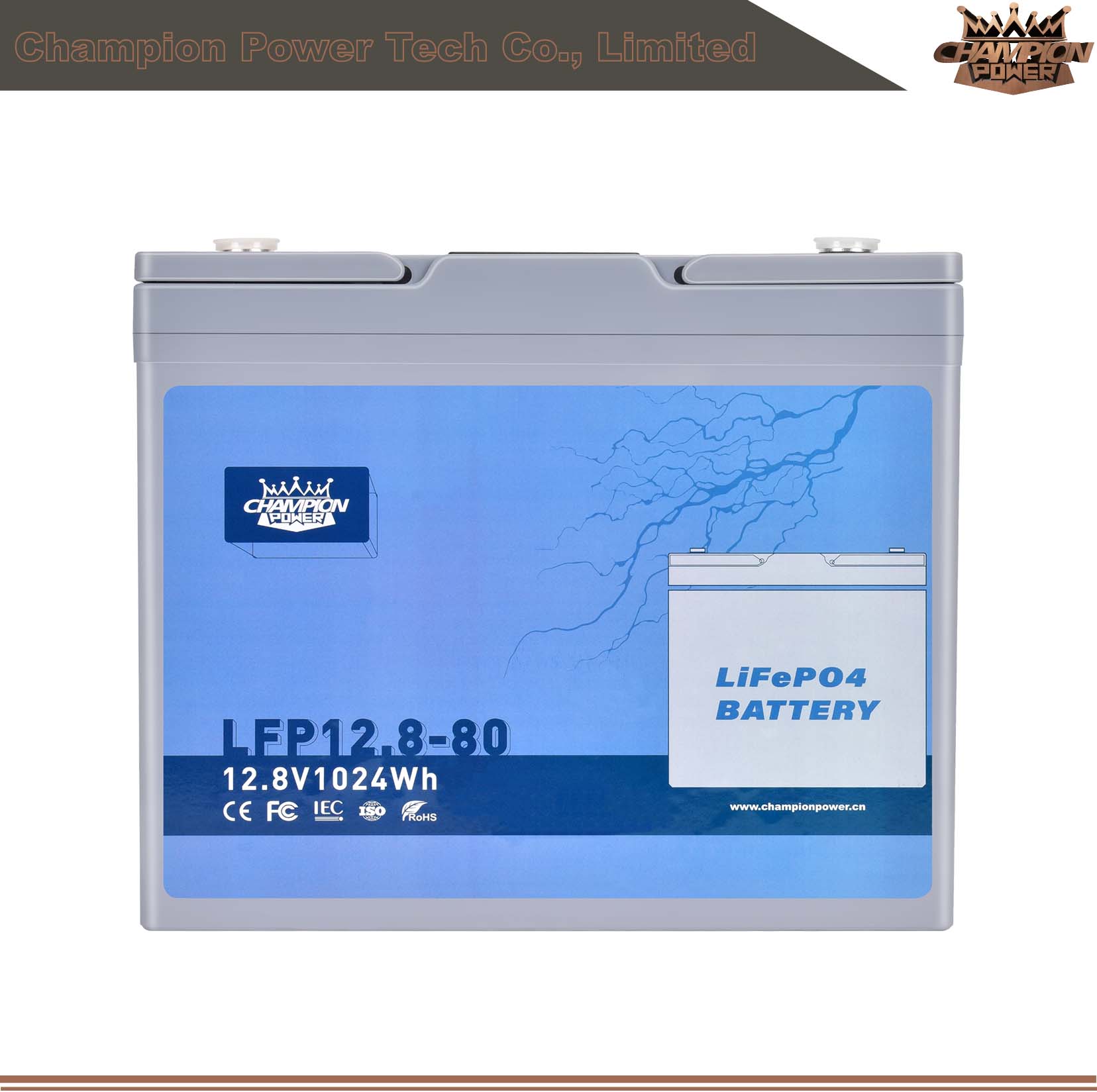 LFP12.8-80 12V80Ah LiFePO4 Battery