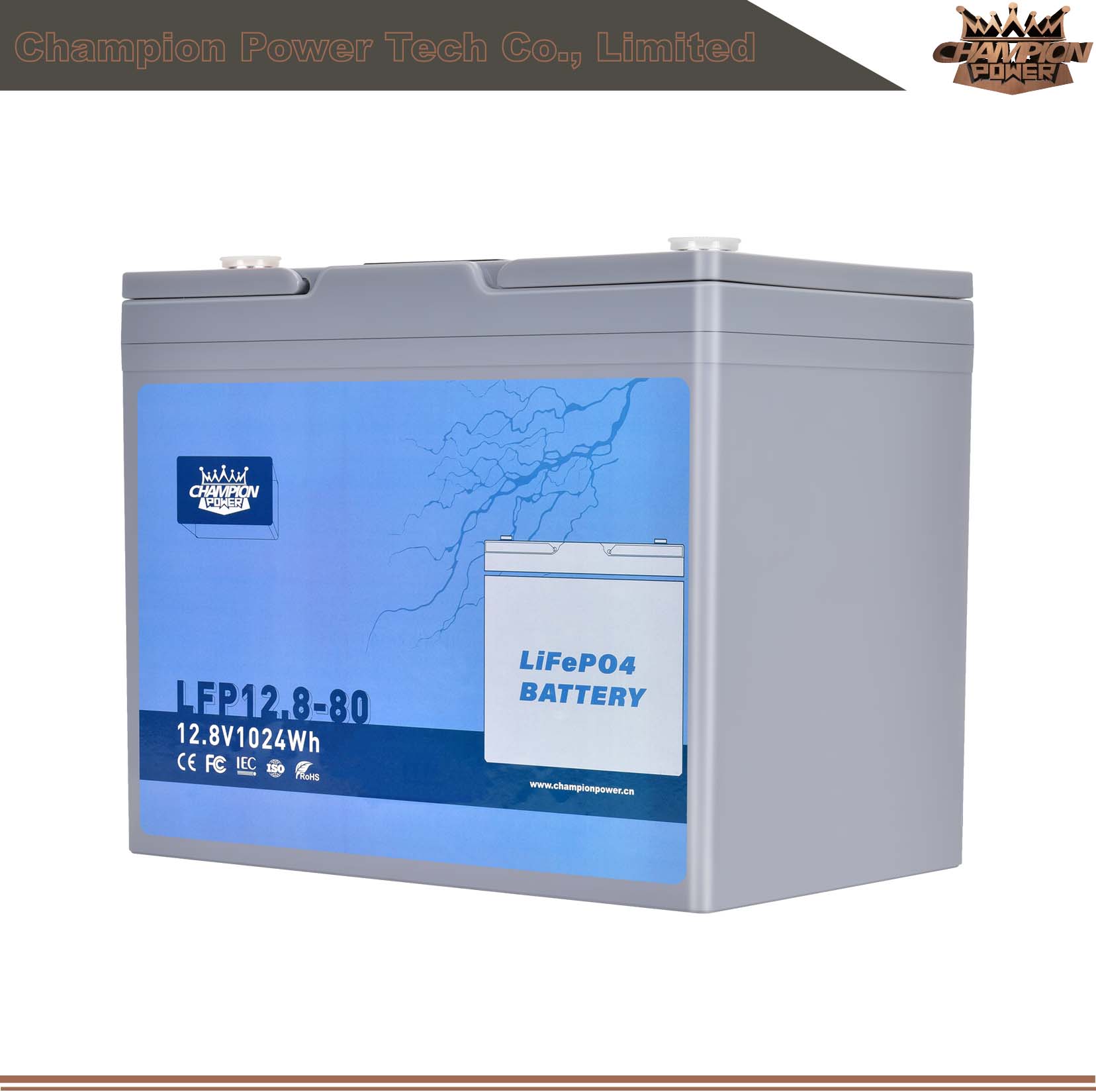 LFP12.8-80 12V80Ah LiFePO4 Battery