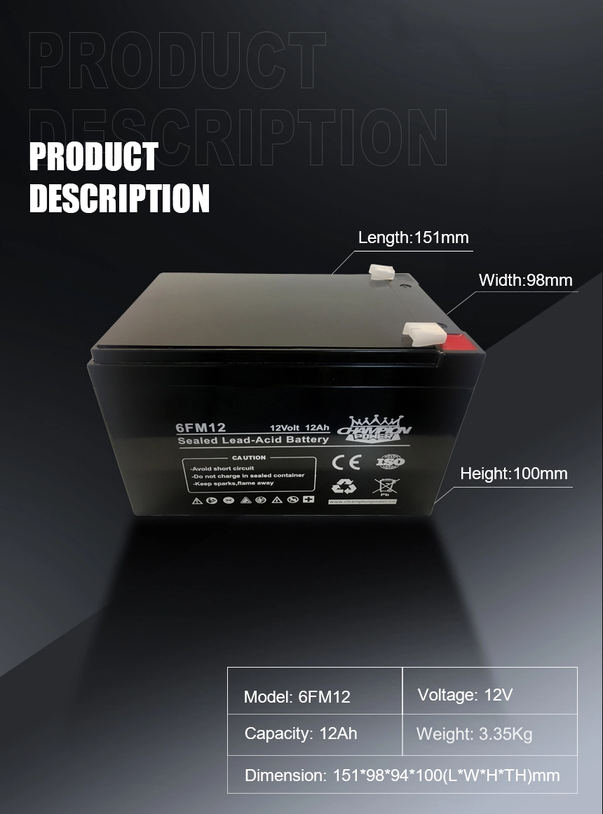 12v12ah AGM Battery