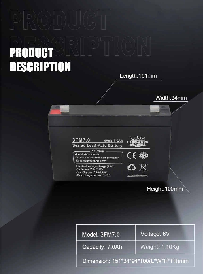 6V7.0ah AGM Battery
