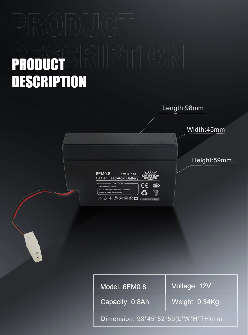 12V0.8ah AGM Battery