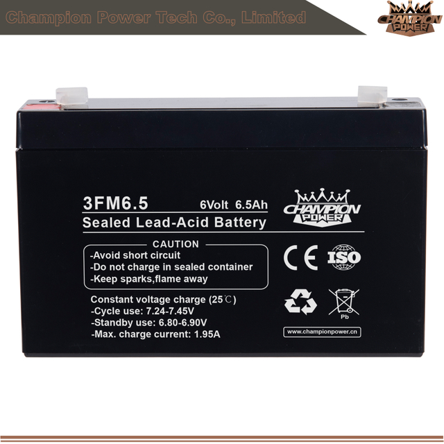 3FM6.5 6V6.5Ah AGM Battery