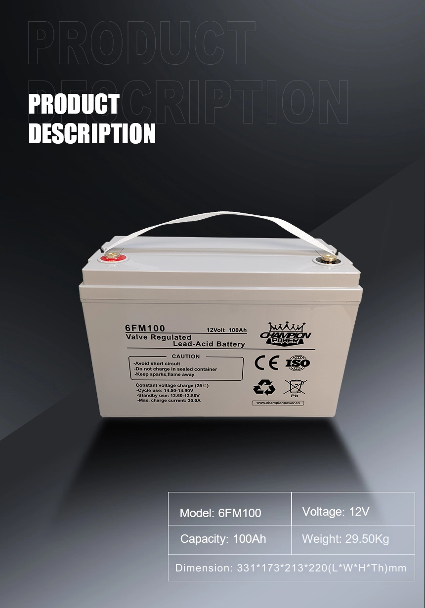 12v100ah AGM Battery