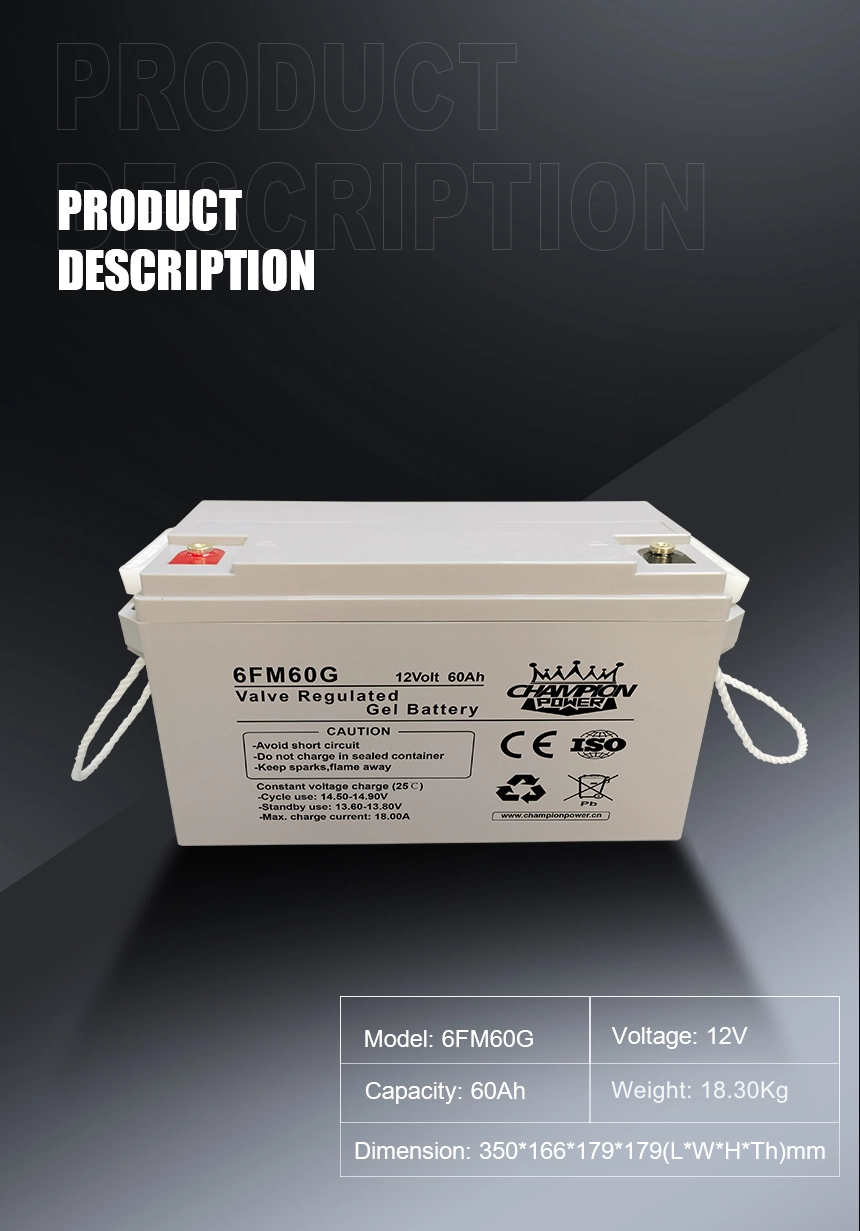 12V60Ah Gel Battery