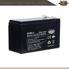 6FM9.0 12V9Ah AGM Battery