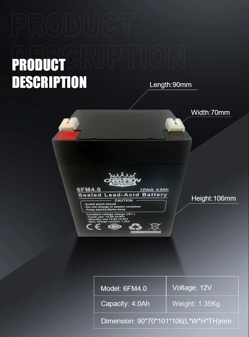 12v4.0ah AGM Battery