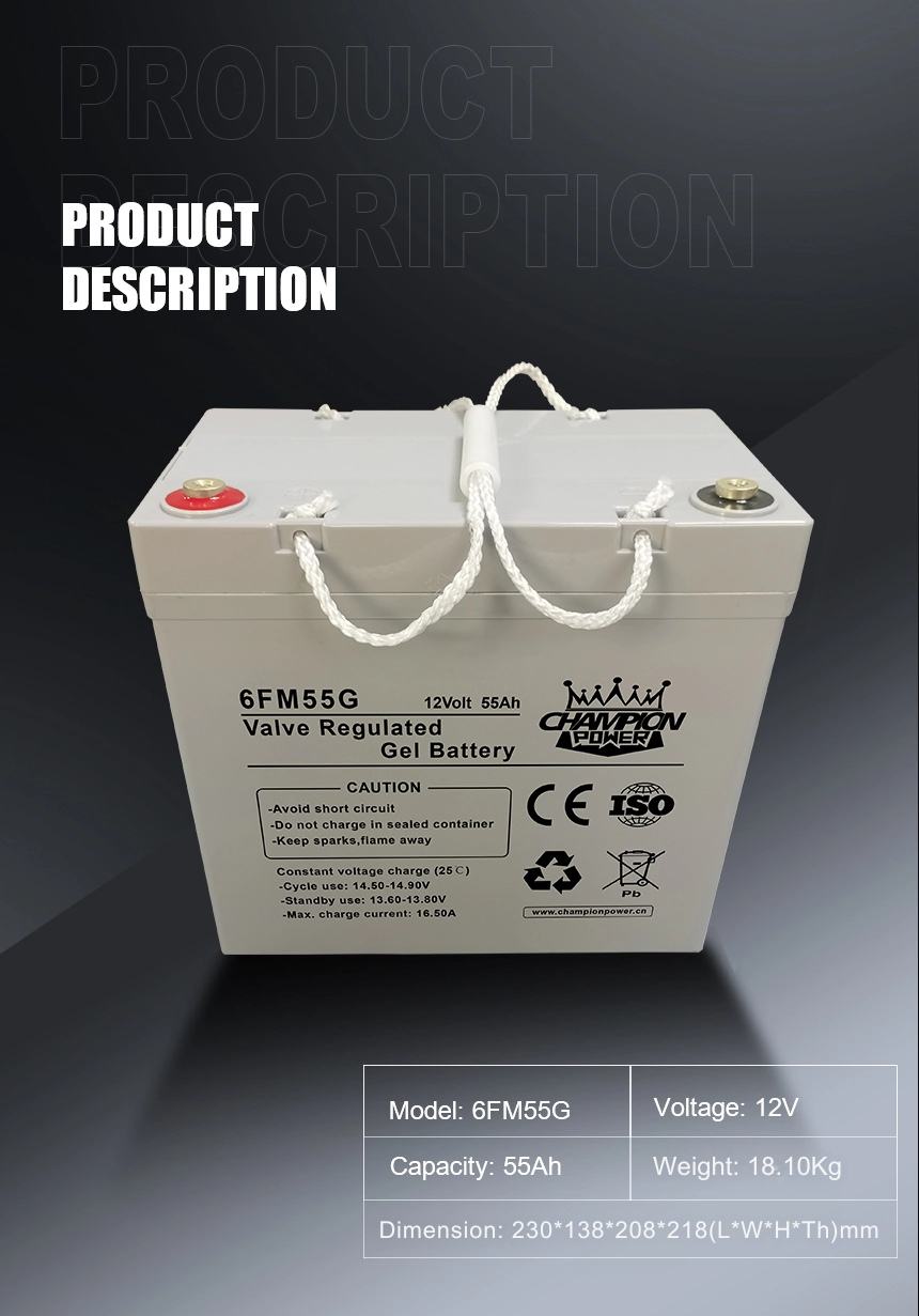 12V55Ah Gel Battery