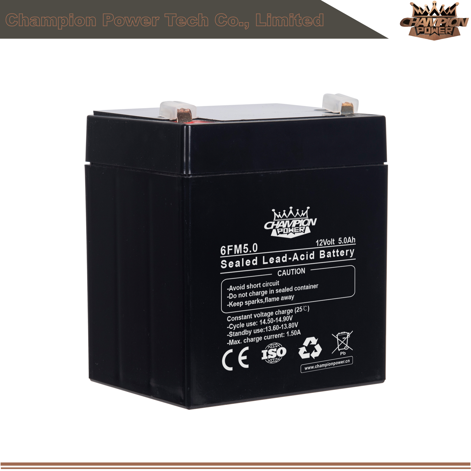 6FM5.0 12V5Ah AGM Battery 