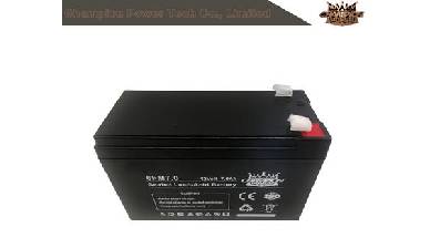 What are the main parameters of the AGM VRLA battery?
