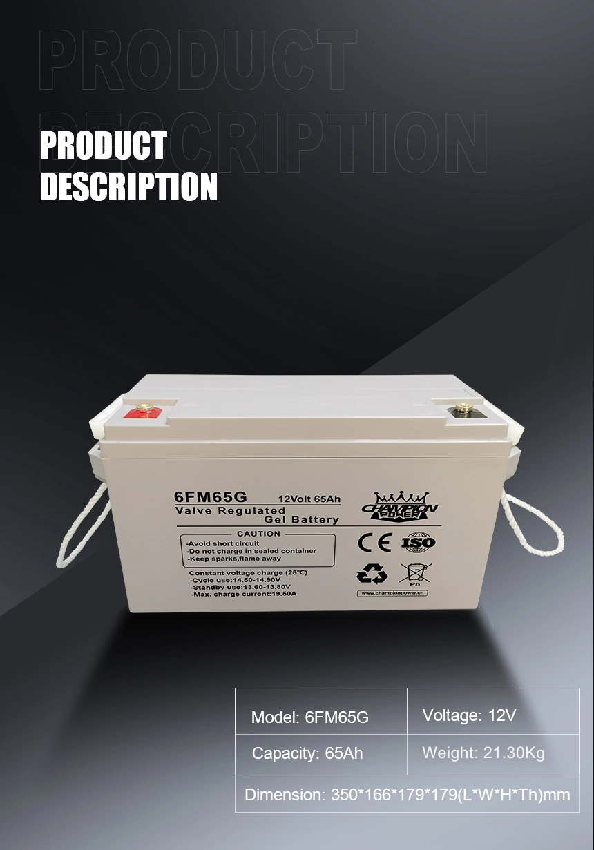 12V65Ah Gel Battery
