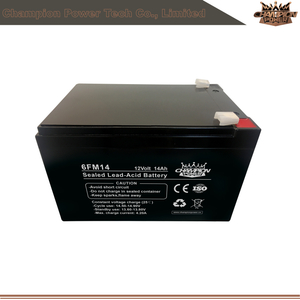 6FM14 12V14Ah AGM Battery
