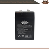 3FM5.0 6V5.0Ah AGM Battery
