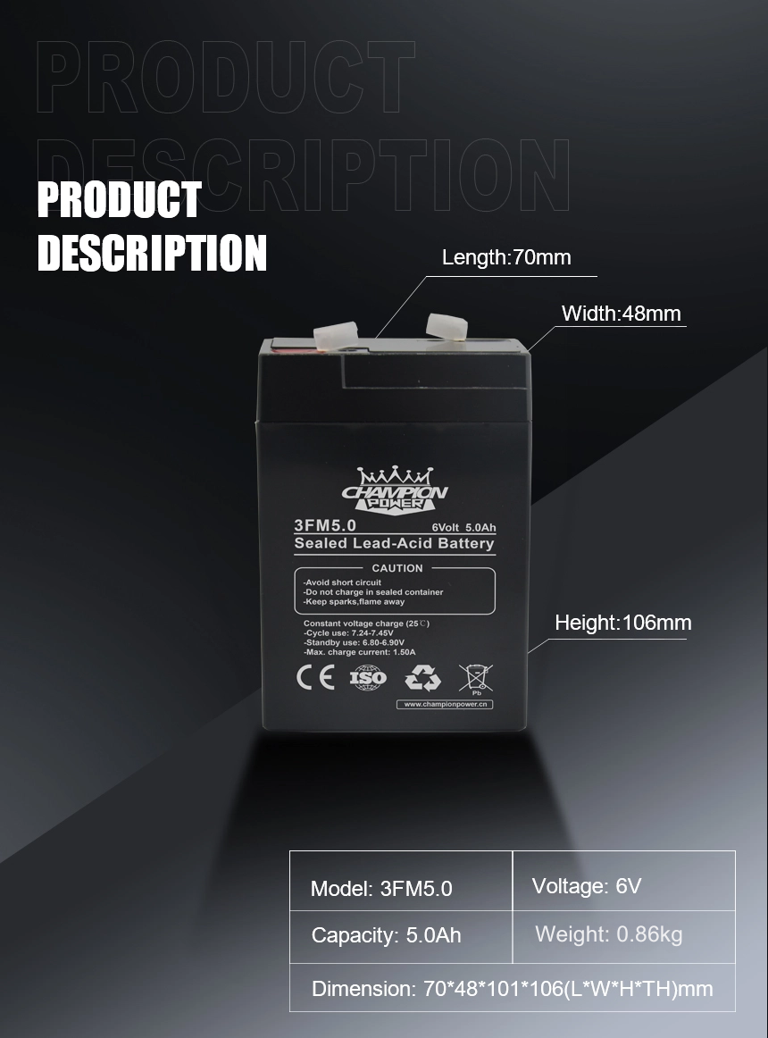6V5ah AGM Battery