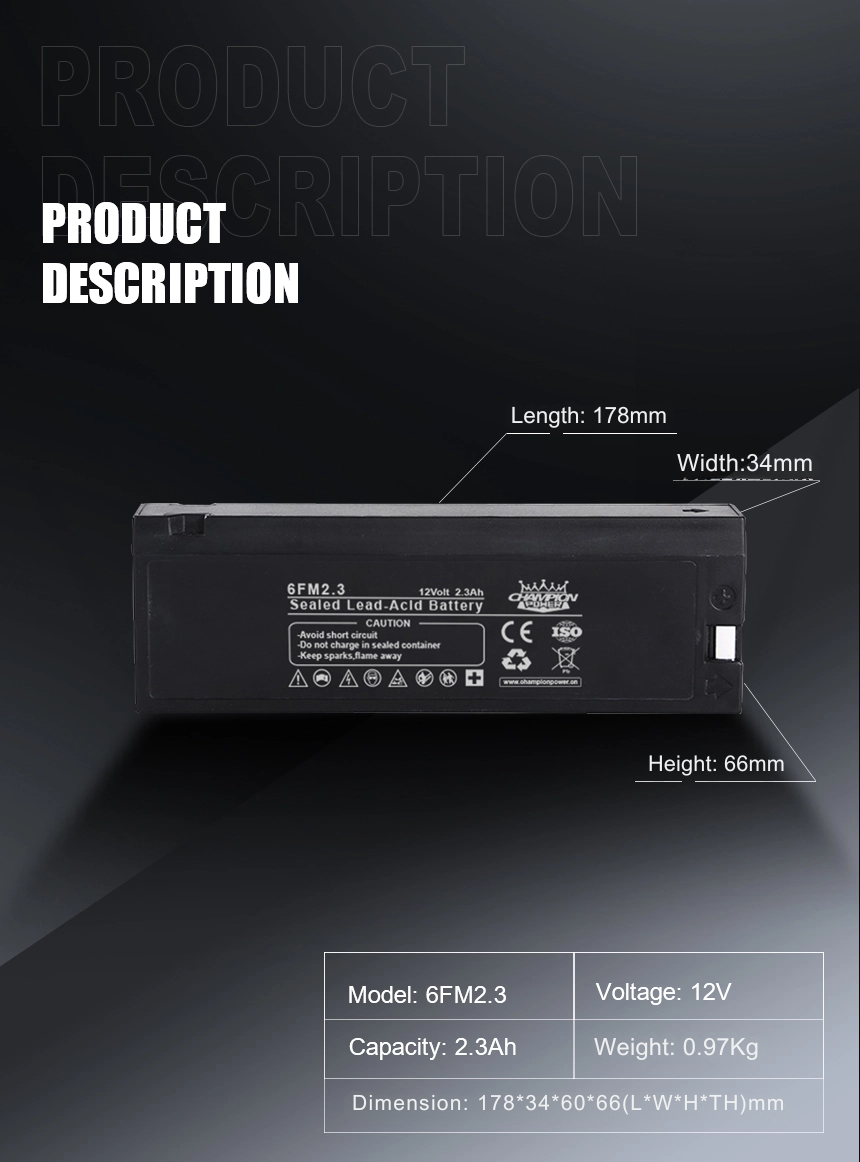 12V2.3Ah AGM battery