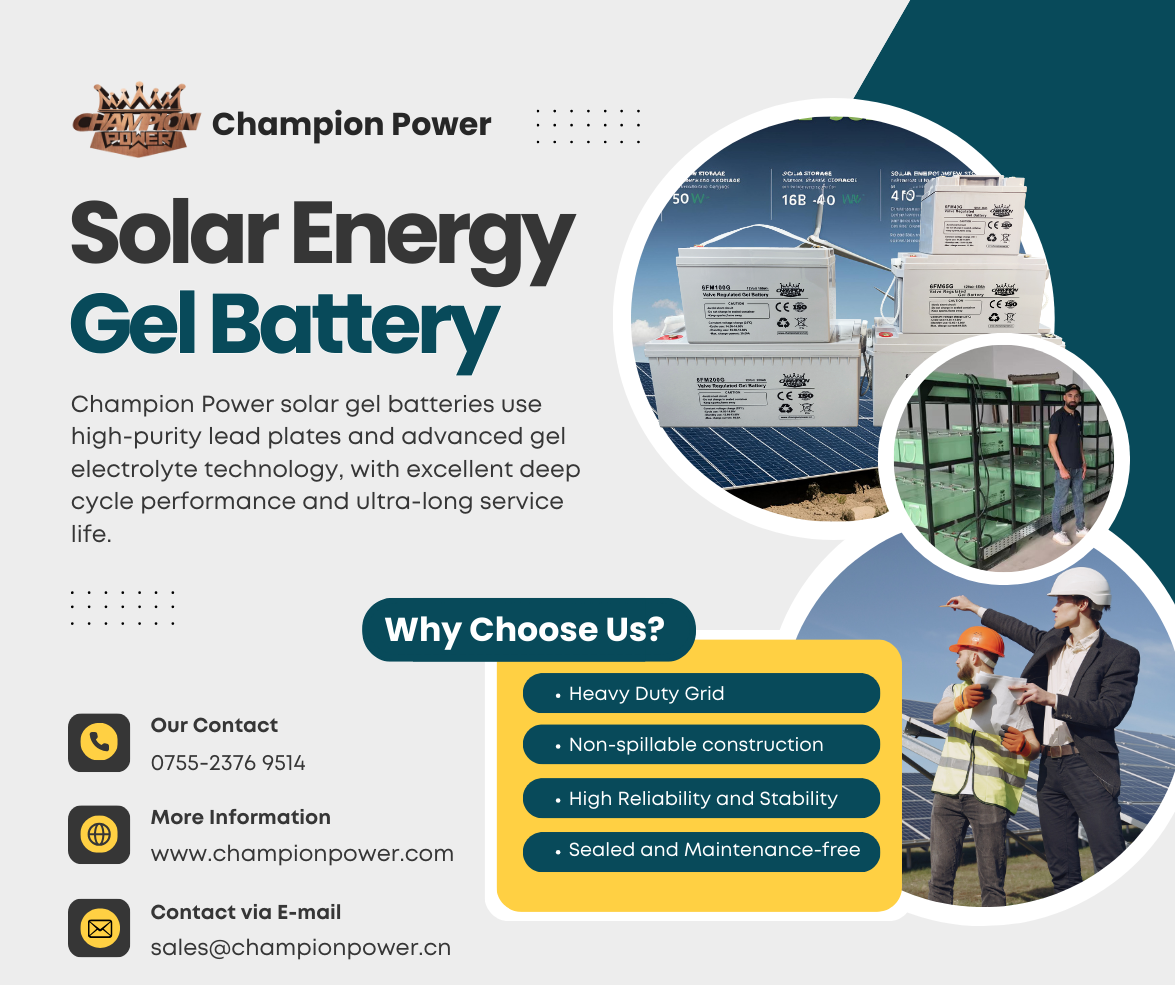 Champion Power Gel Battery