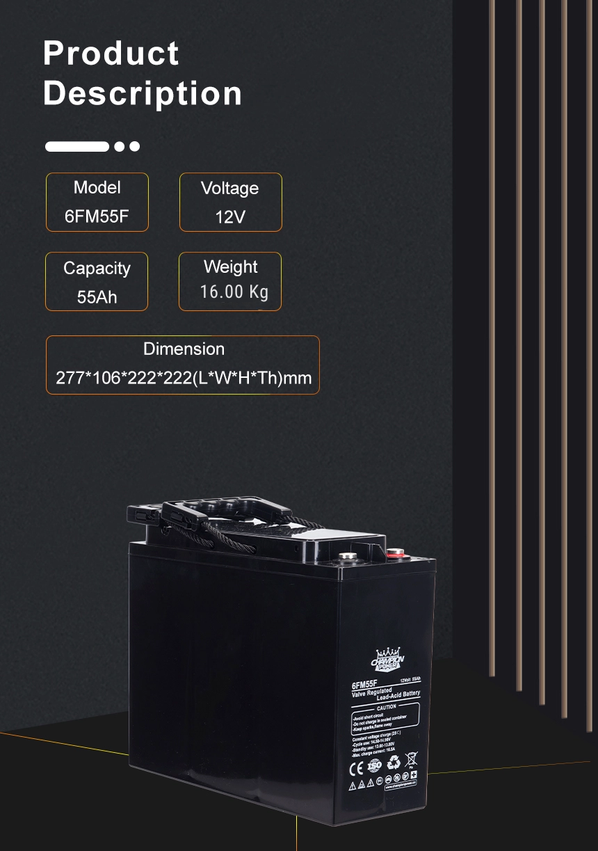 12v55ah front Terminal Battery