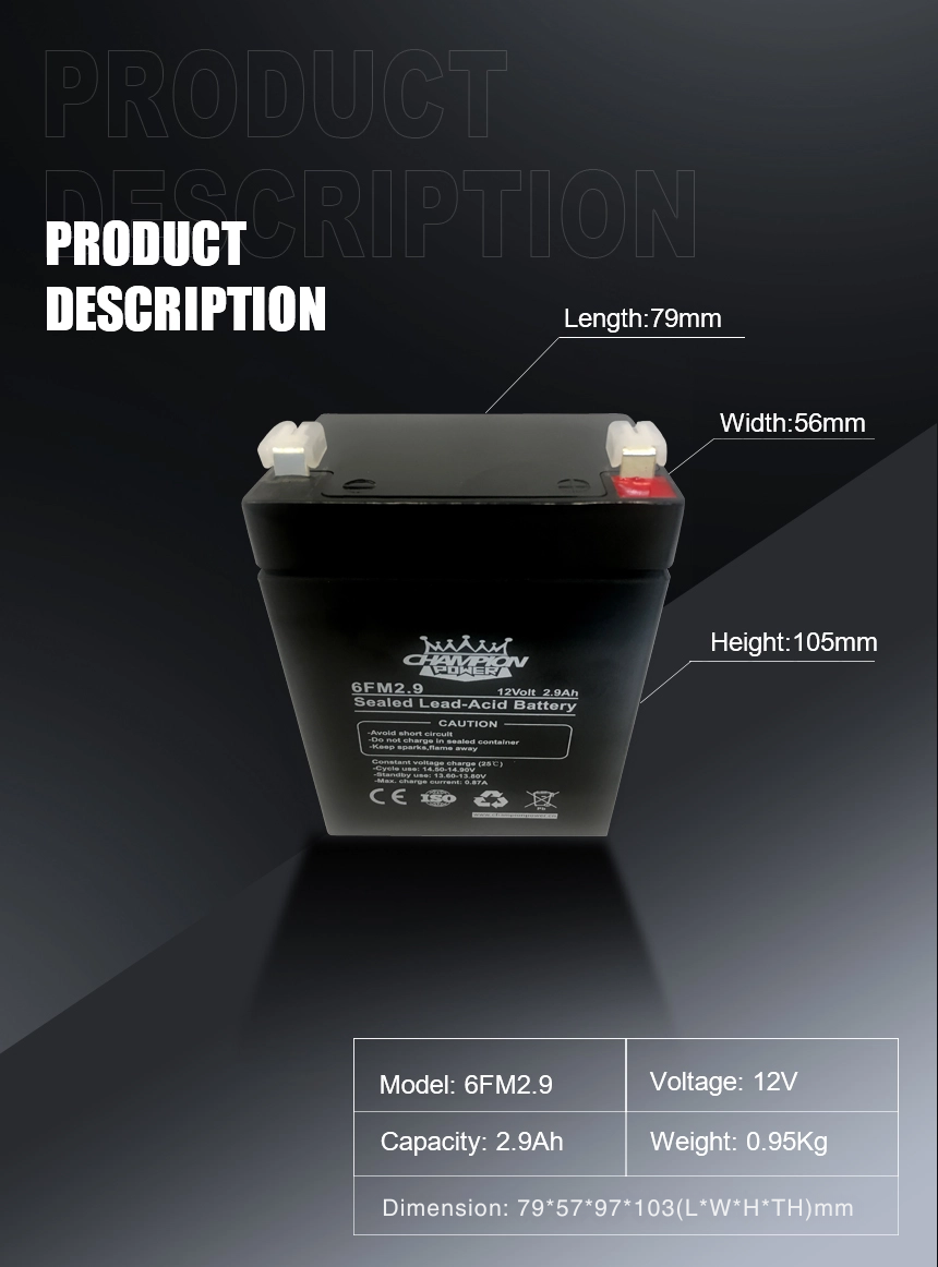 12v2.9ah AGM Battery