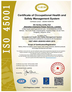  ISO 45001 