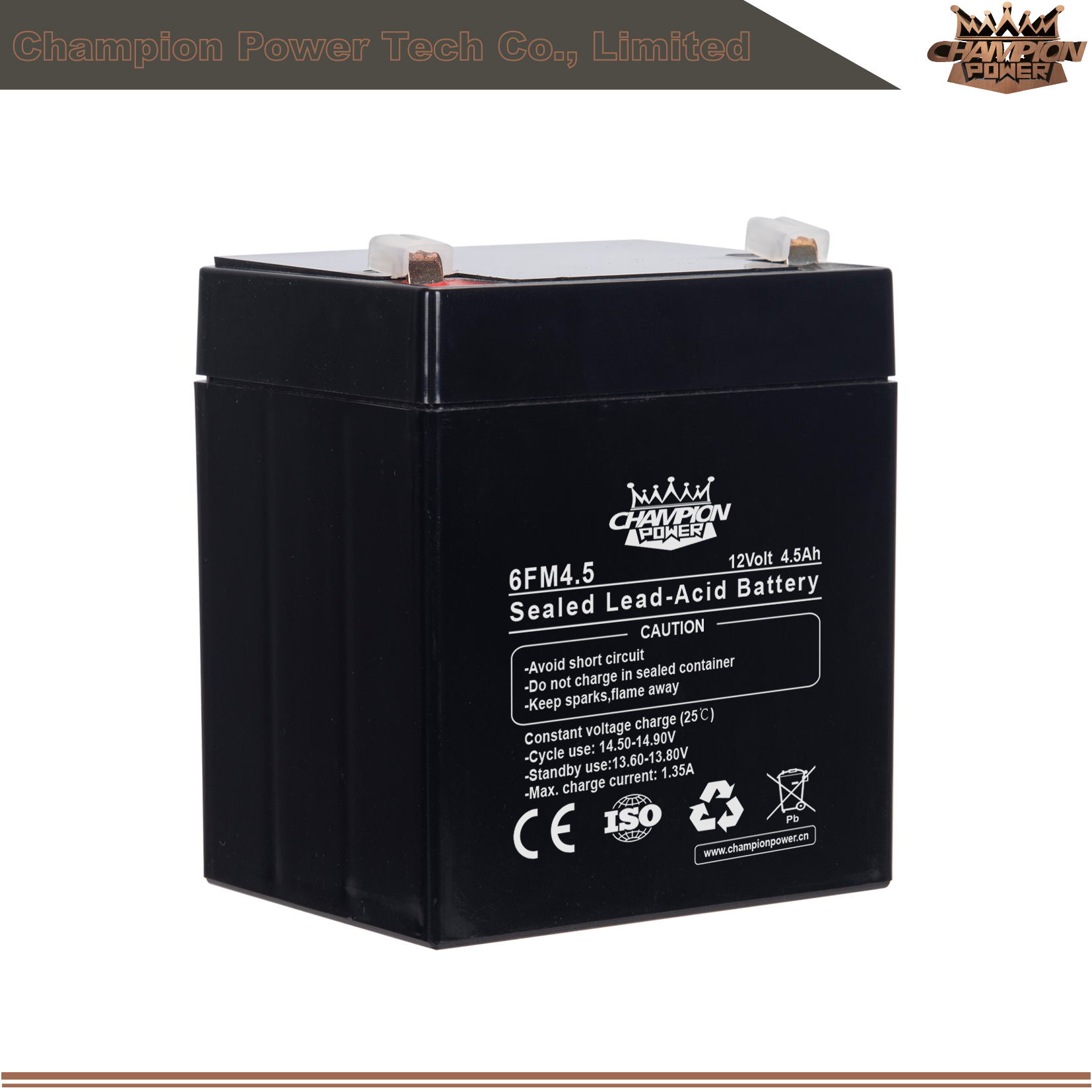 6FM4.5 12V4.5Ah AGM Battery