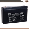 3FM8.0 6V8.0Ah AGM Battery