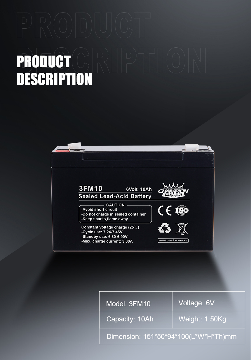 3FM10 Product Description