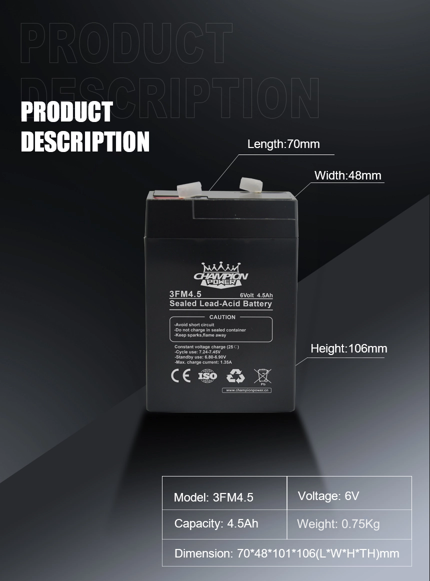 3v4.5ah AGM Battery
