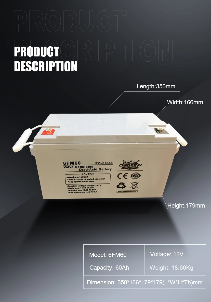 12V60Ah AGM battery