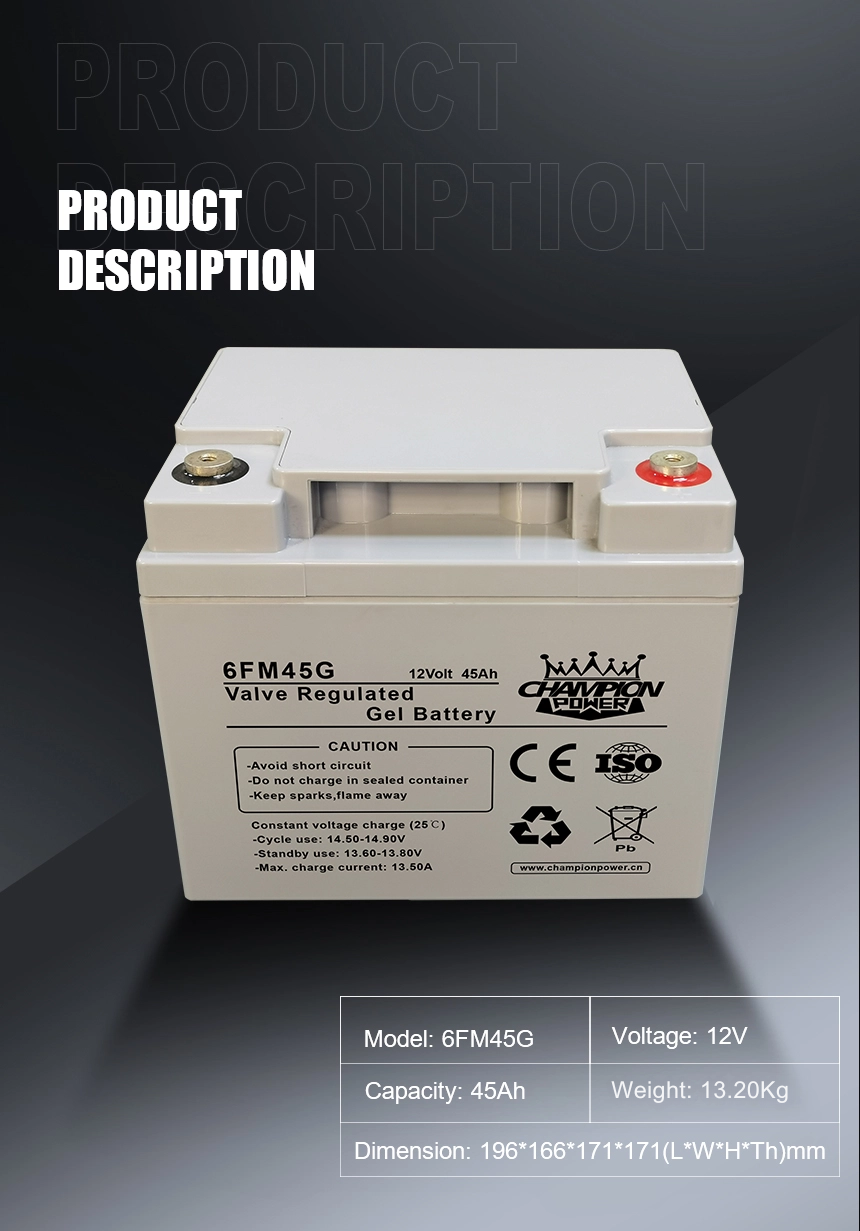 12V45Ah Gel Battery