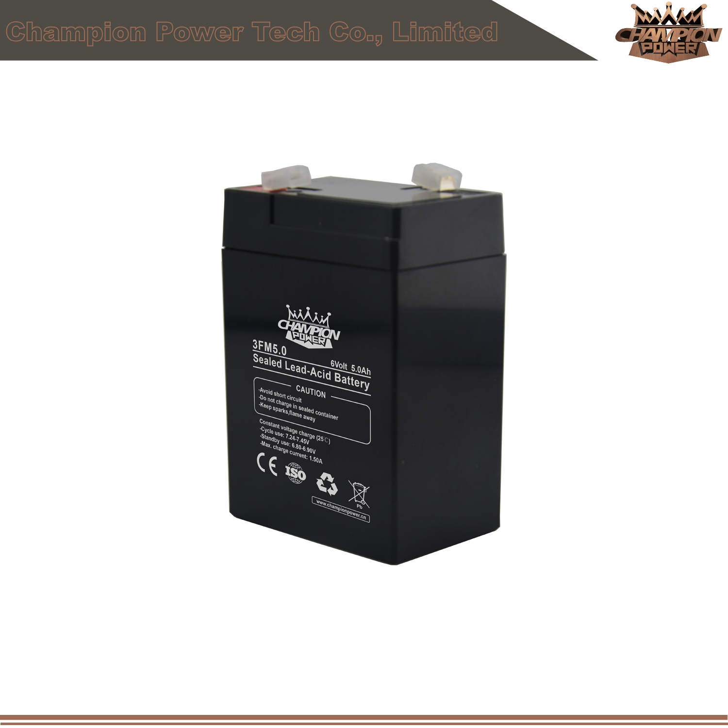 3FM5.0 6V5.0Ah AGM Battery