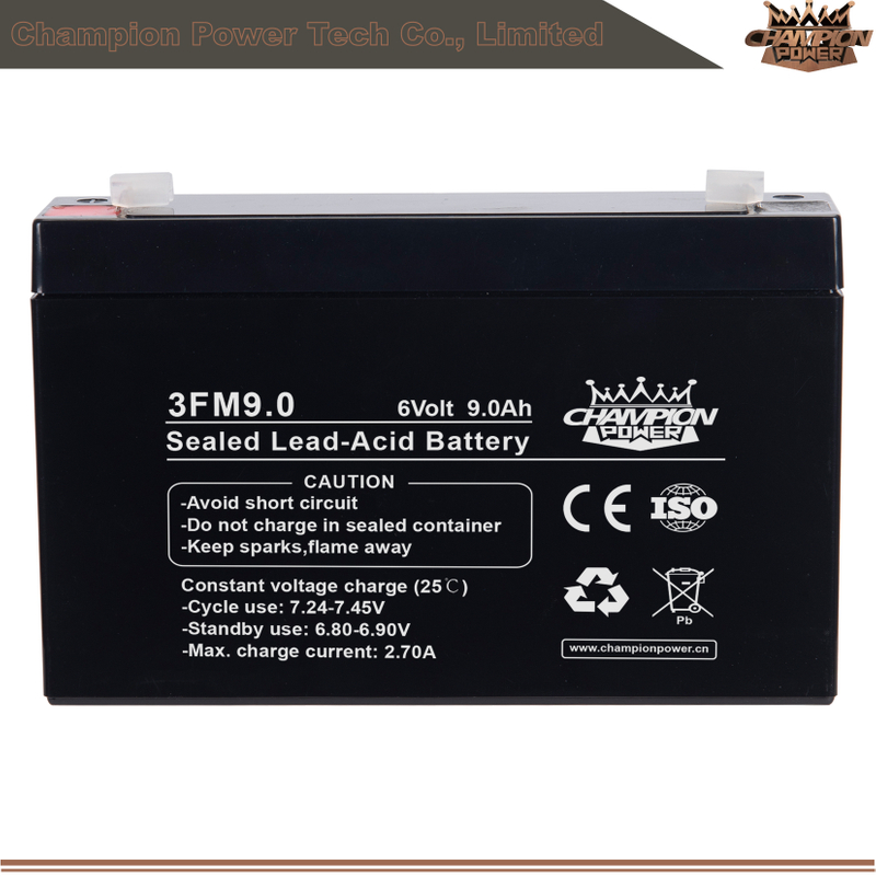 3FM9.0 6V9.0Ah AGM Battery