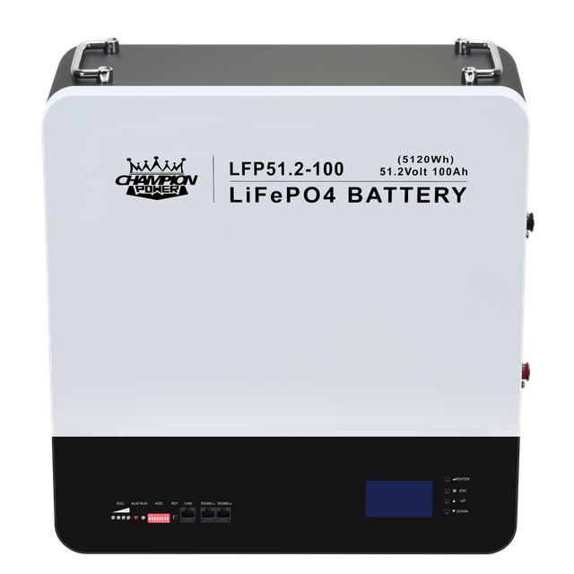 LFP51.2-100 51.2V100Ah Wall Mounted Battery