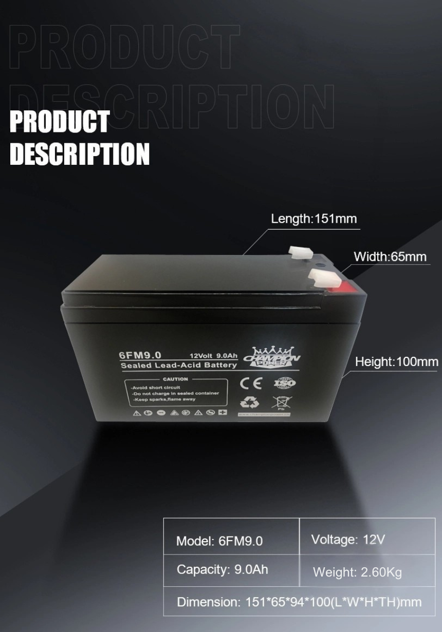 12v9.0ah AGM Battery 
