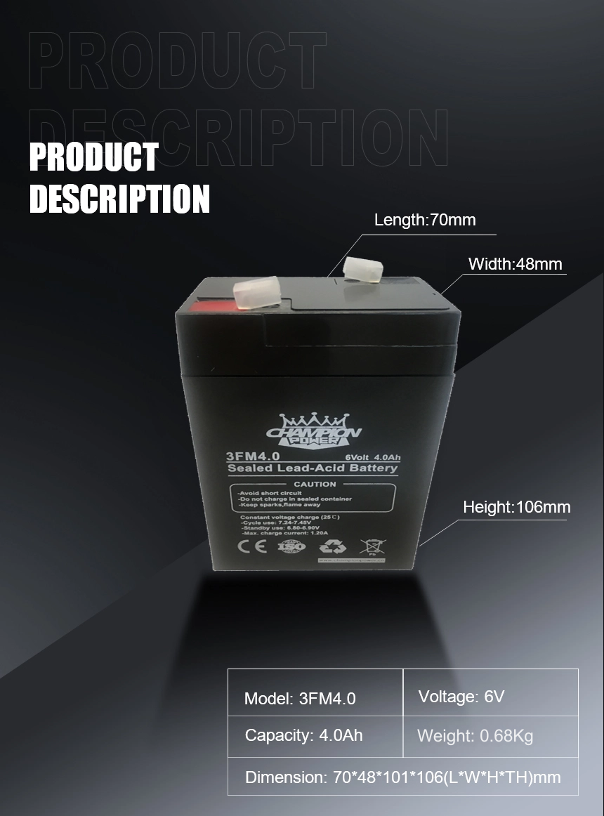 3v4.0ah AGM Battery