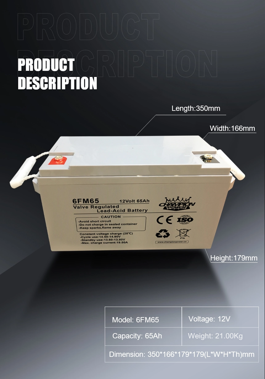 12V65Ah AGM battery