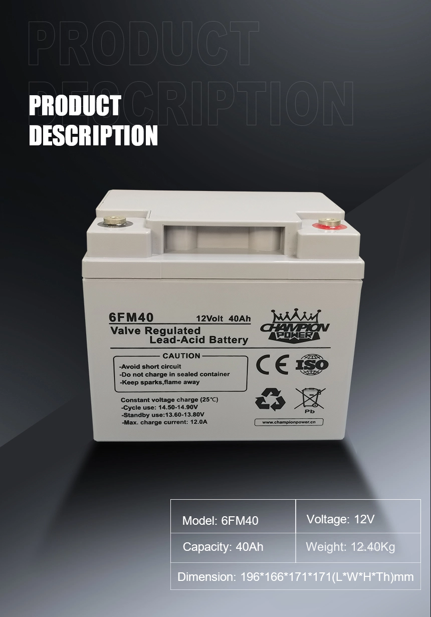 12v40ah AGM Battery